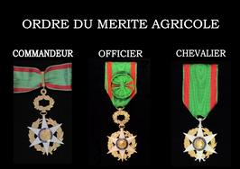 17 janvier 2025 – Marc Beillot